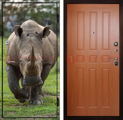 Металлическая дверь с фотопечатью носорога ДФ-31 в Истре