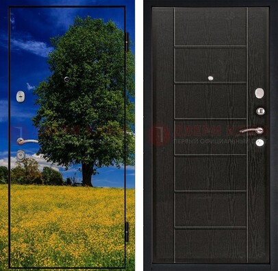 Железная дверь с фотопечатью дерева в поле ДФ-36 в Истре