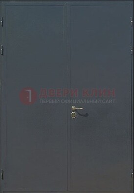 Двухстворчатая техническая дверь ДТ-5 в Истре