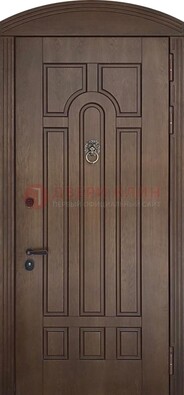 Коричневая стальная дверь с виноритом в форме арки ДВТ-237 в Истре